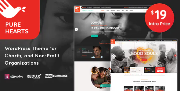 Best Charity & Fundraising WordPress Themes