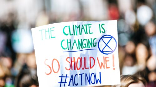 person holding The Climate is Changing signage