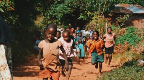 children running and walking on brown sand surrounded with trees during daytime